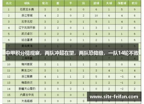 中甲积分榜观察，两队冲超在望，两队恐降级，一队14轮不败
