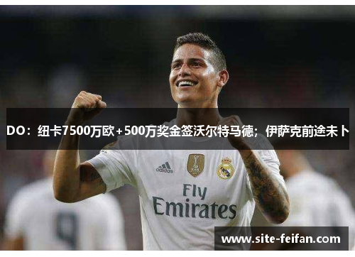 DO：纽卡7500万欧+500万奖金签沃尔特马德；伊萨克前途未卜