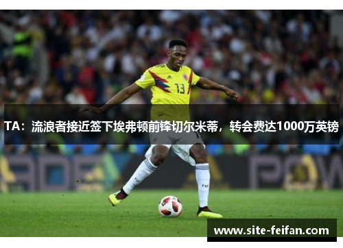 TA:流浪者接近签下埃弗顿前锋切尔米蒂,转会费达1000万英镑 TA:流浪者接近签下埃弗顿前锋切尔米蒂,转会费达1000万英镑