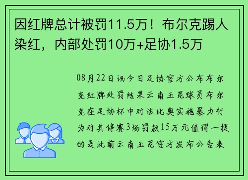因红牌总计被罚11.5万！布尔克踢人染红，内部处罚10万+足协1.5万
